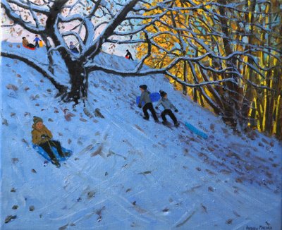 Schlittenfahren auf dem Allestree Golfplatz (3. Loch) 2014 von Andrew Macara
